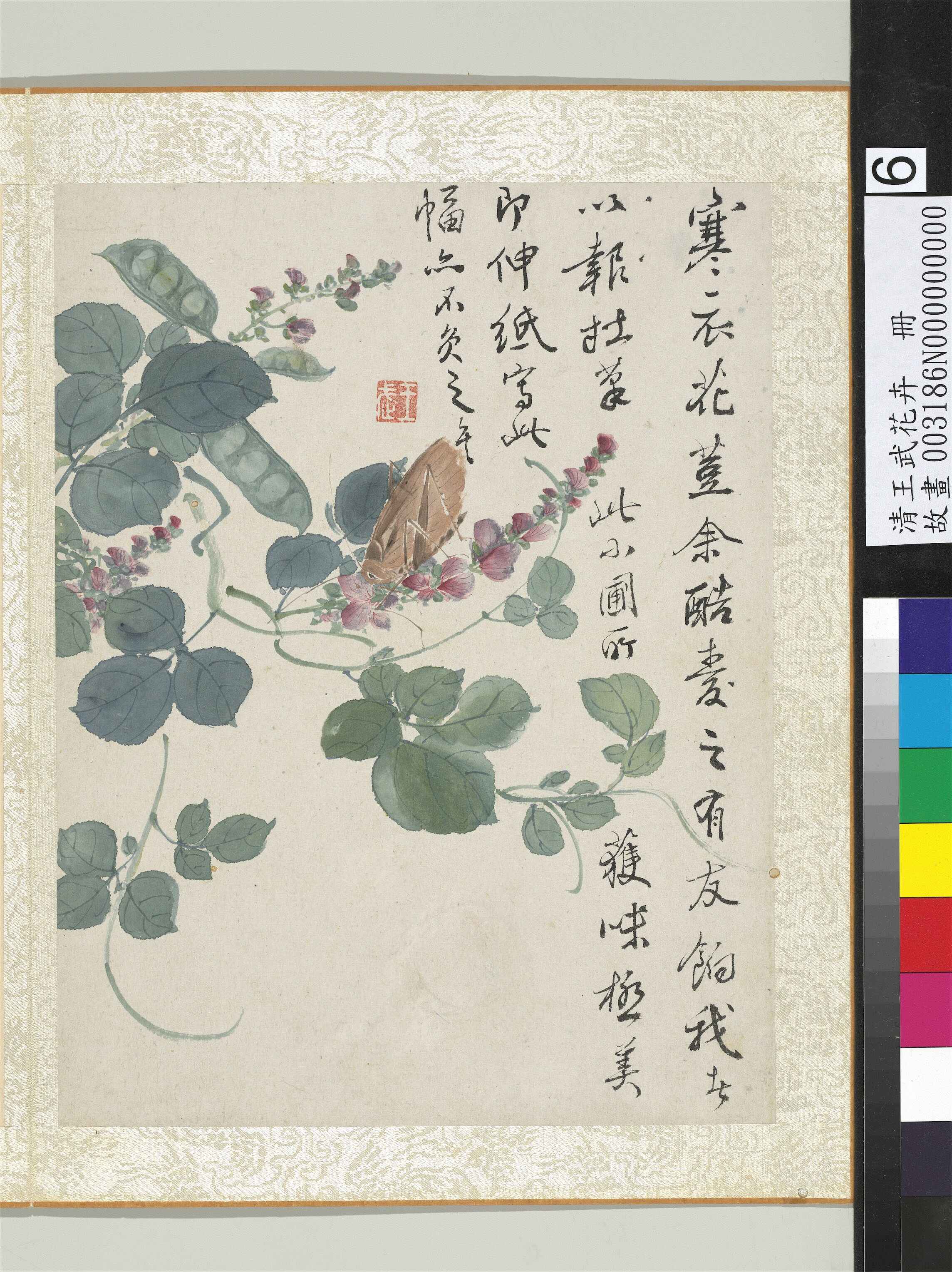 清·王武花卉册　扁荳花台北故宫博物院高清中国古画下载
